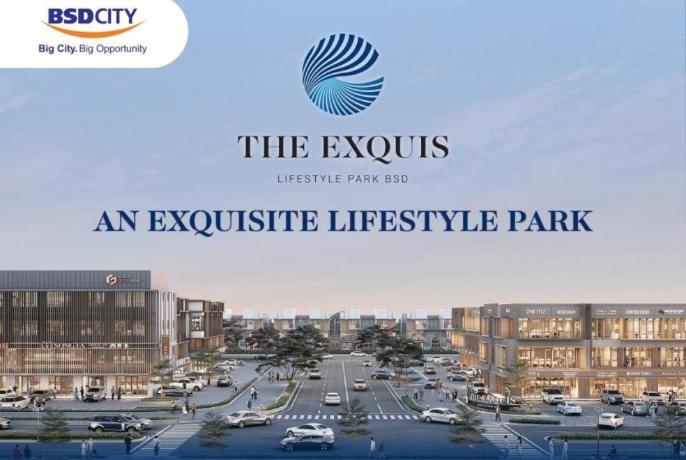 THE EXQUIS